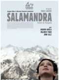 voir la fiche complète du film : Salamandra