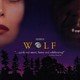 photo du film Wolf