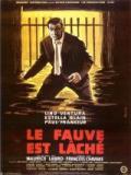 voir la fiche complète du film : Le Fauve est lâché