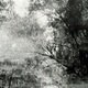 photo du film Images pour Debussy