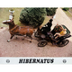 photo du film Hibernatus