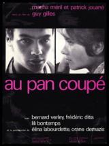 voir la fiche complète du film : Au pan coupé