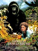 voir la fiche complète du film : Gorilles dans la brume
