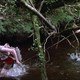 photo du film Je suis le seigneur du chateau