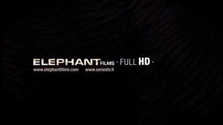 Extrait vidéo du film  Cheeseburger Film Sandwich