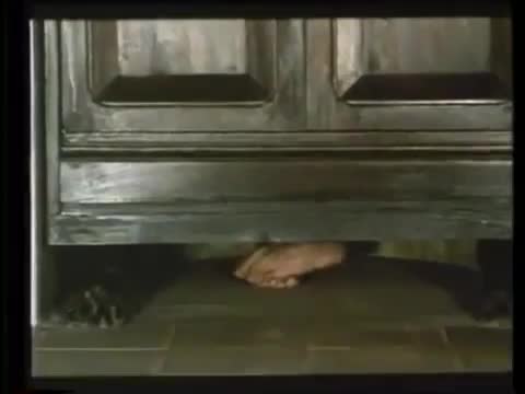 Extrait vidéo du film  Le Petit Diable