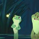 photo du film La Princesse et la grenouille