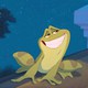 photo du film La Princesse et la grenouille
