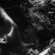 photo du film Tetsuo