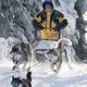 photo du film Chiens des neiges