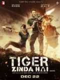 voir la fiche complète du film : Tiger Zinda Hai