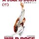 photo du film Wild Rose
