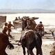photo du film L'Homme de la plaine