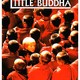 photo du film Little Buddha