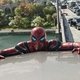 photo du film Spider-Man : No Way Home - version longue