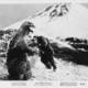 photo du film King Kong contre Godzilla