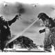 photo du film King Kong contre Godzilla