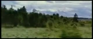 Extrait vidéo du film  Le Temps du loup