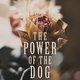 photo du film The Power of the Dog