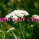 photo du film Rien sauf l'été