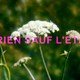 photo du film Rien sauf l'été