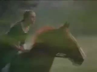 Extrait vidéo du film  Nello et le chien des Flandres