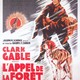 photo du film L'Appel de la forêt