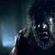 photo du film Wolfman