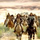 photo du film Geronimo