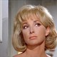 photo du film Les Douze salopards