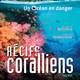 photo du film Récifs coralliens