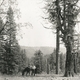 photo du film The Virginian