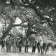 photo du film The Virginian