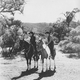 photo du film The Virginian