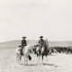 photo du film The Virginian