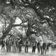 photo du film The Virginian