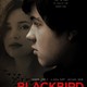 photo du film Blackbird