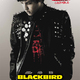 photo du film Blackbird