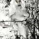 photo de Mamie Van Doren