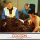 photo du film Cocoon