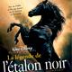 photo du film La Légende de l'étalon noir