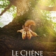 photo du film Le Chêne