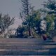 photo du film Sur le pont d'Avignon