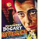 photo du film Le Violent