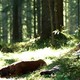 photo du film Le mur invisible