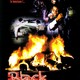 photo du film Black Cobra