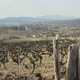 photo du film Le Fils de l'épicière, le maire, le village et le monde