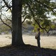 photo du film L'Arbre Et La Foret