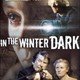 photo du film In the winter dark