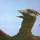 photo du film Rodan